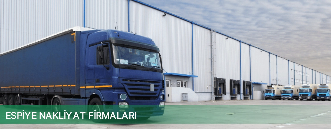 Espiye Nakliyat Taşımacılık